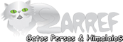 Zarref